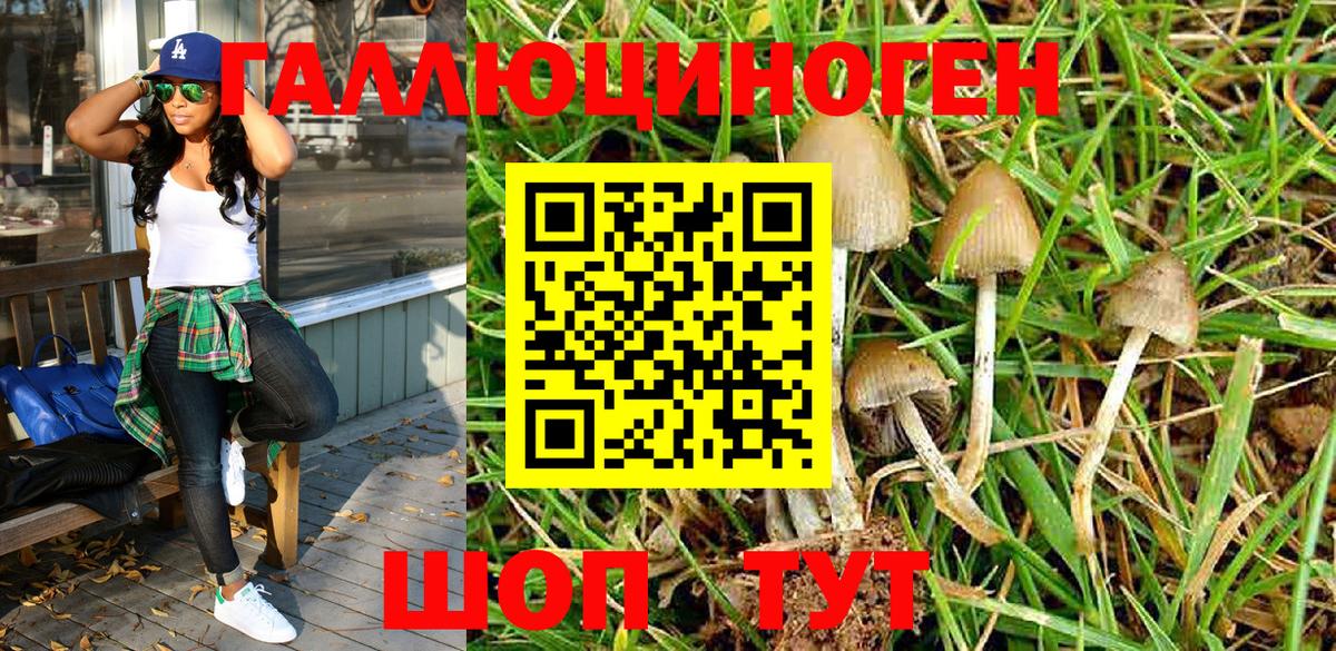 Псилоцибиновые грибы мухоморы Прохладный