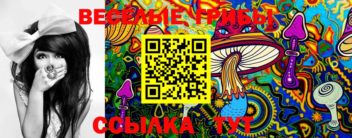 Псилоцибиновые грибы Psilocybine cubensis  Вход с VPN  Прохладный 